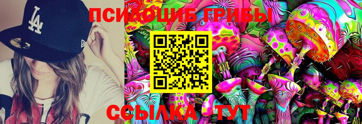 Галлюциногенные грибы GOLDEN TEACHER  Вход с VPN  Галлюциногенные грибы MAGIC MUSHROOMS  Качканар 